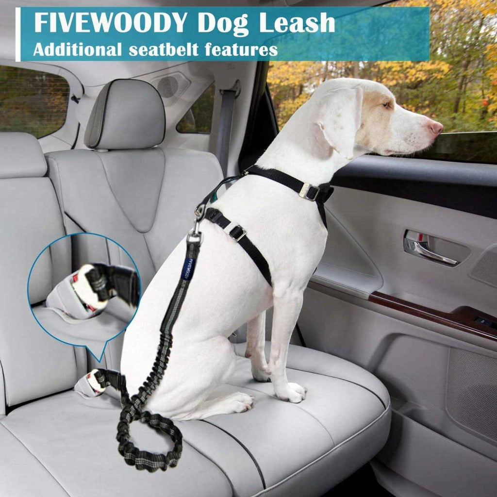 Heavy Duty Bungee Dog Leash Z851