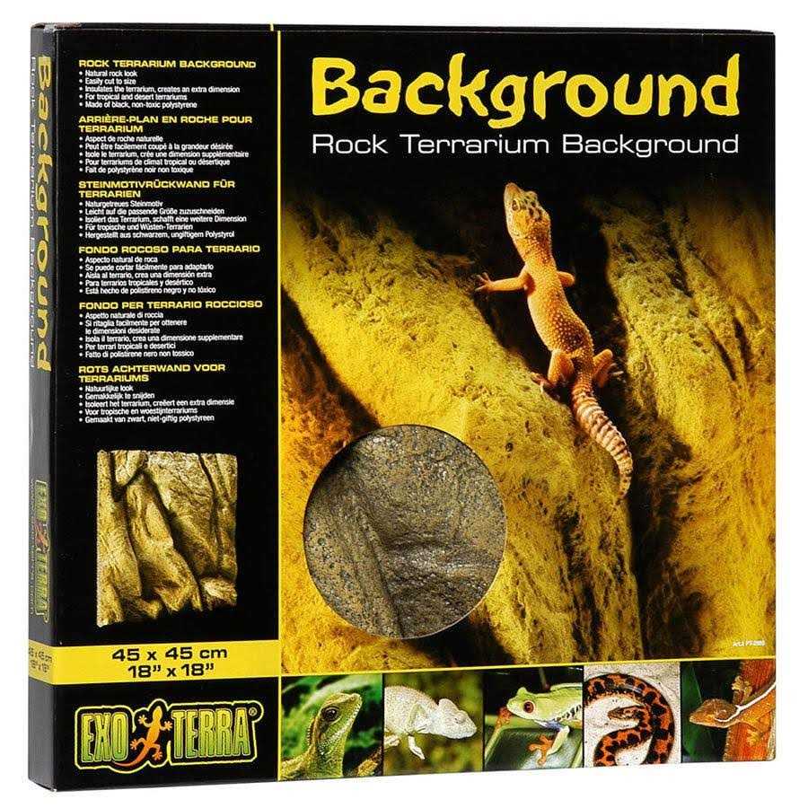 Rock Terrarium Background J712321