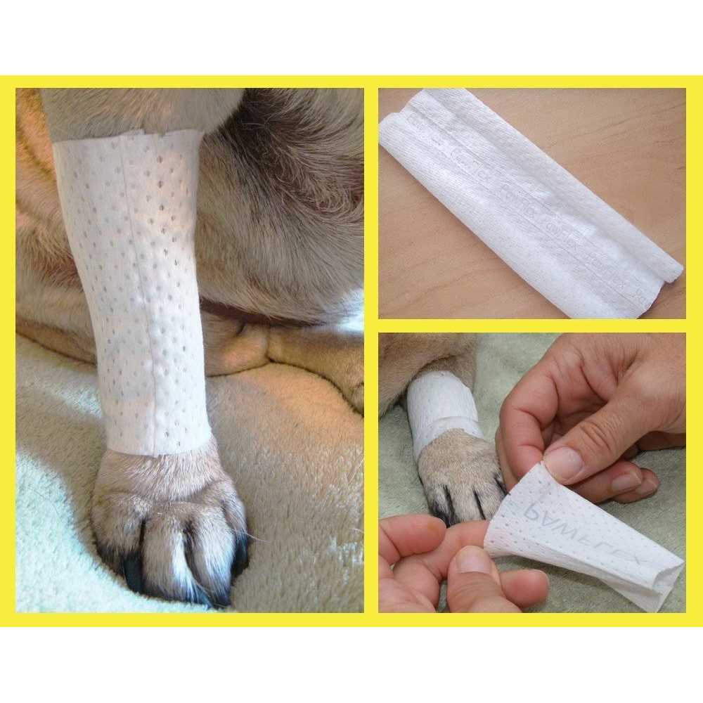 Pet Bandages Protective Covers L1452