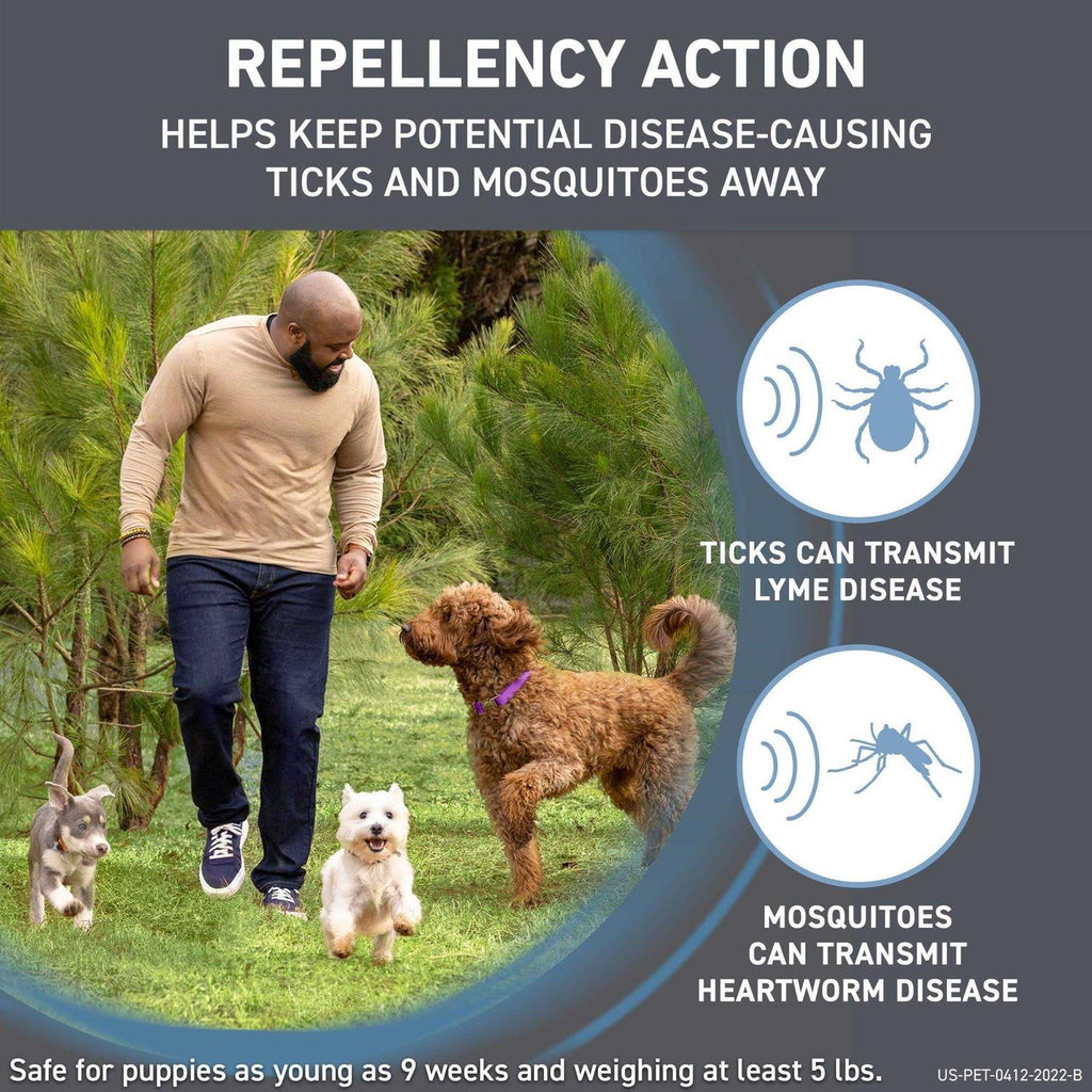 Flea & Tick Treatment for Dogs H13542