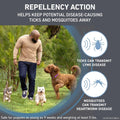 Flea & Tick Treatment for Dogs H13542