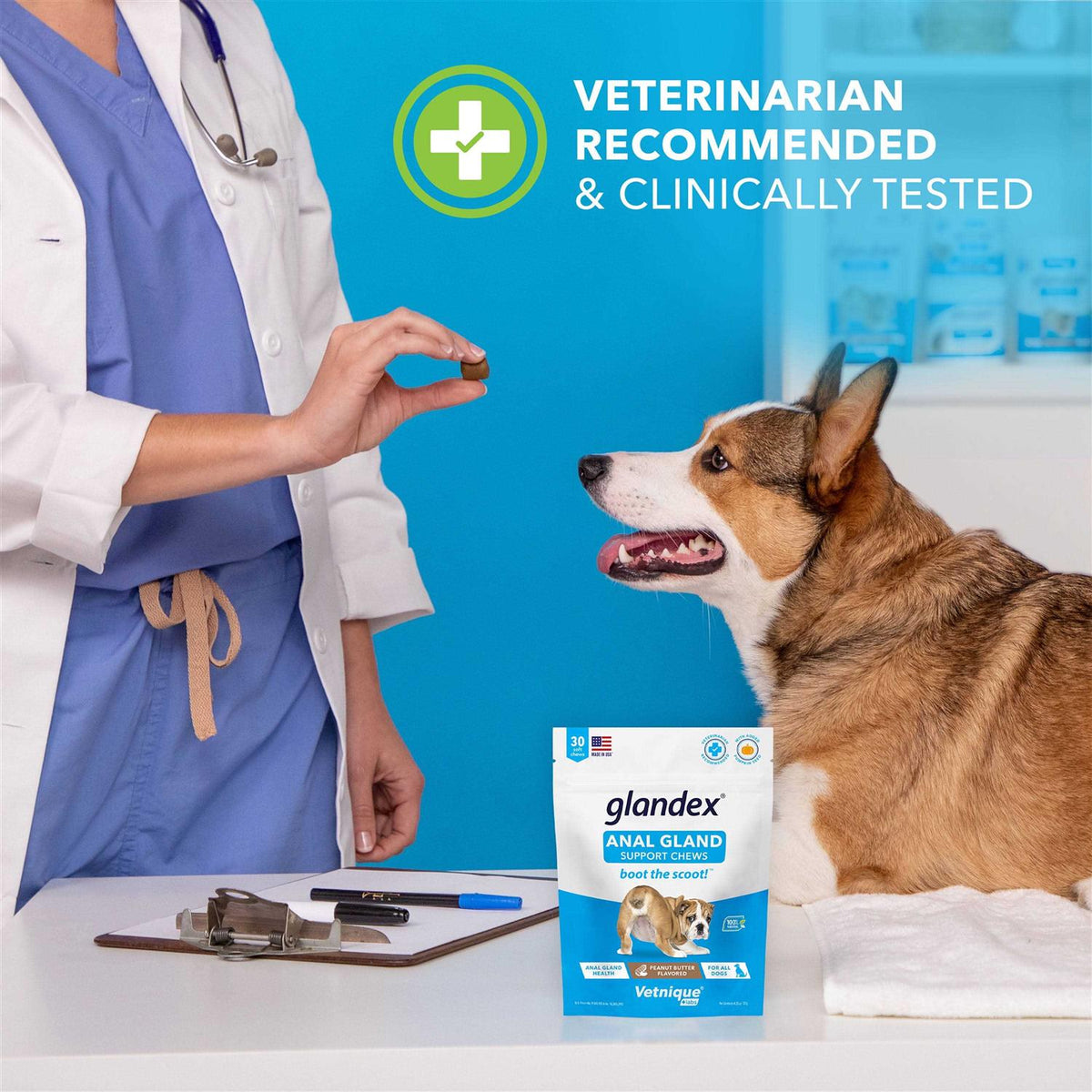 Anal Gland Soft Chews Supplement for Dogs Y36787