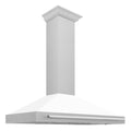 48 Inch Stainless Steel Range Hood with White Matte Shell T477