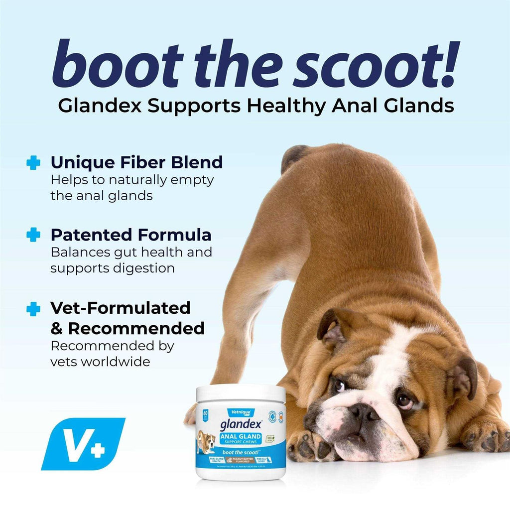 Anal Gland Soft Chews Supplement for Dogs Y36787