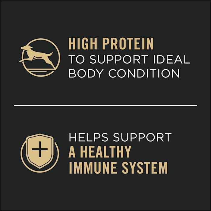 High Protein Wet Dog Food Chicken and Carrots U130