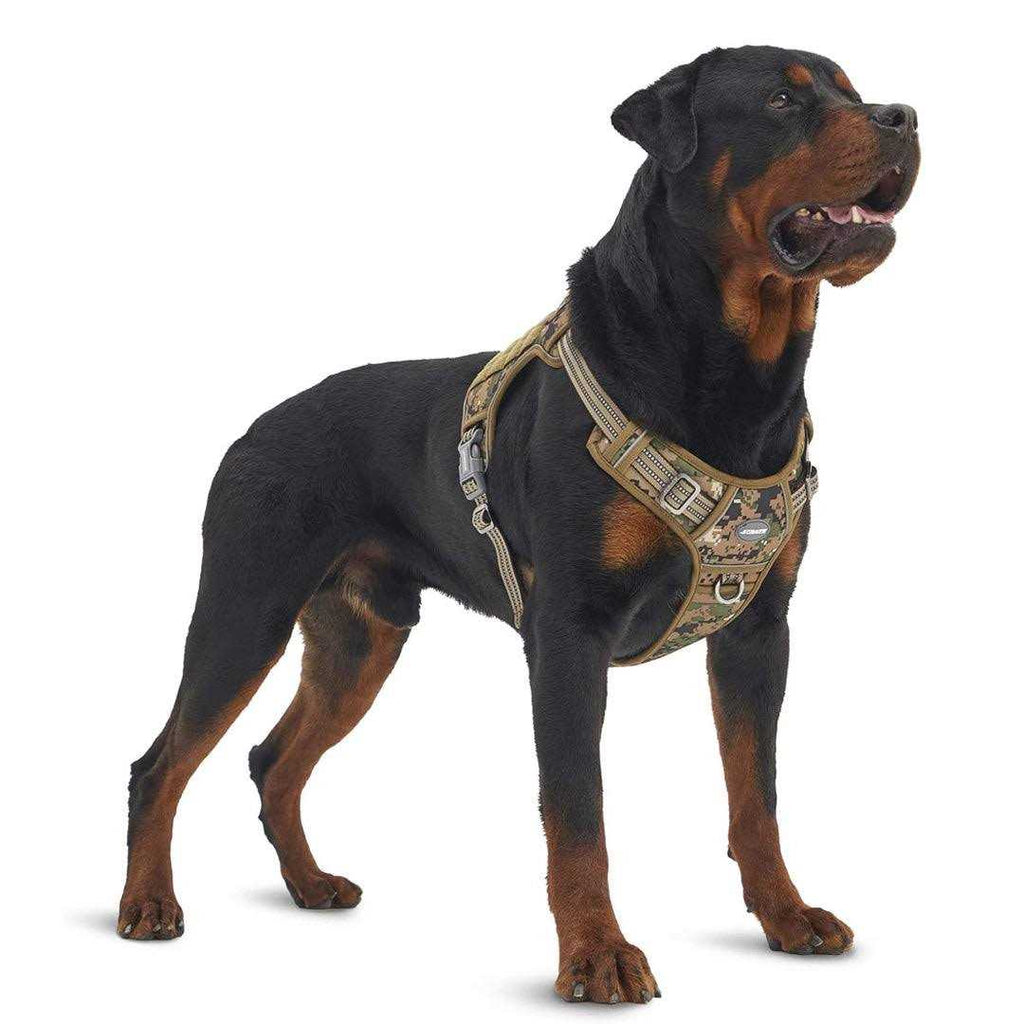 No Pull Dog Harness P73510