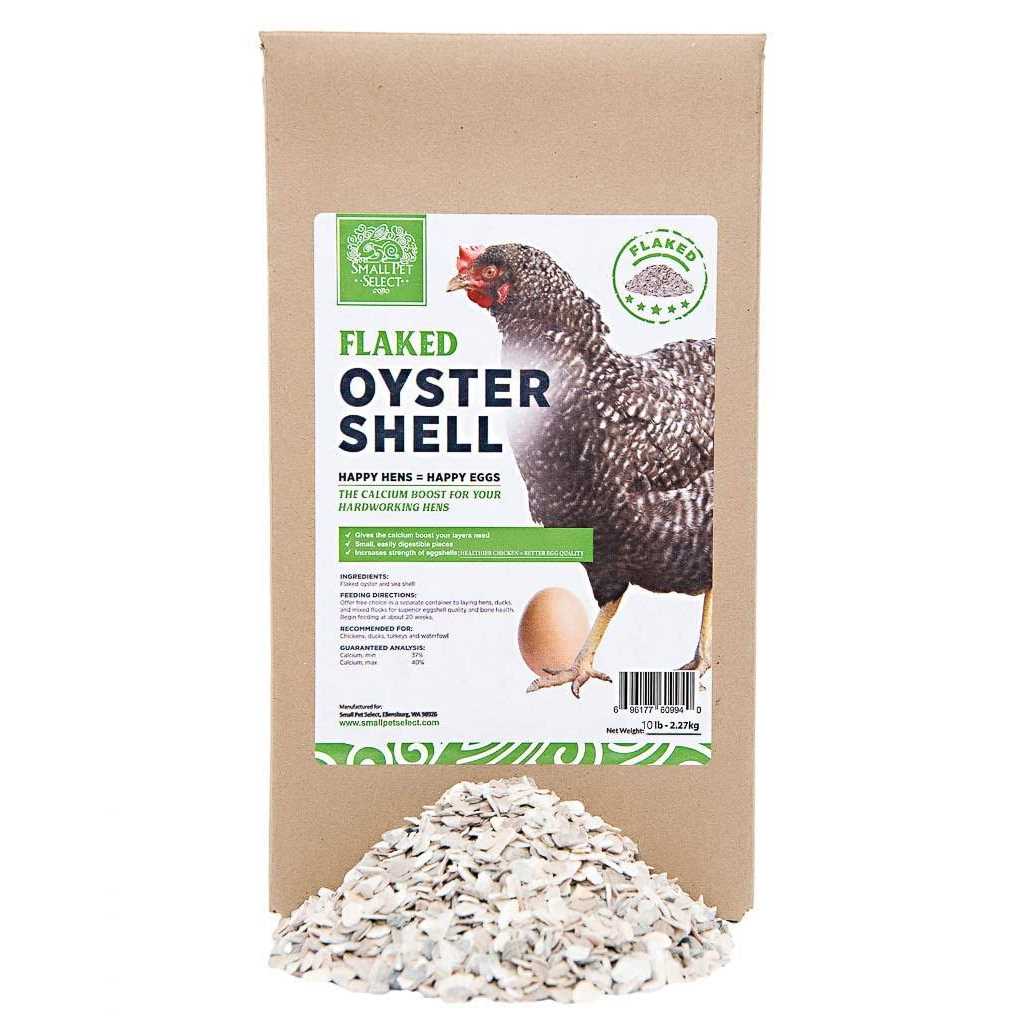 Flaked Oyster and Seashell W329482