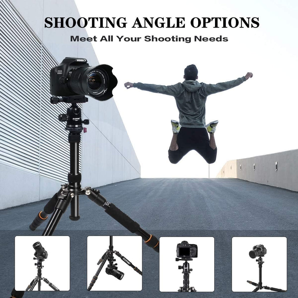 Camera Tripod with Ball Head Quick Release Plate and Carrying Case T686648