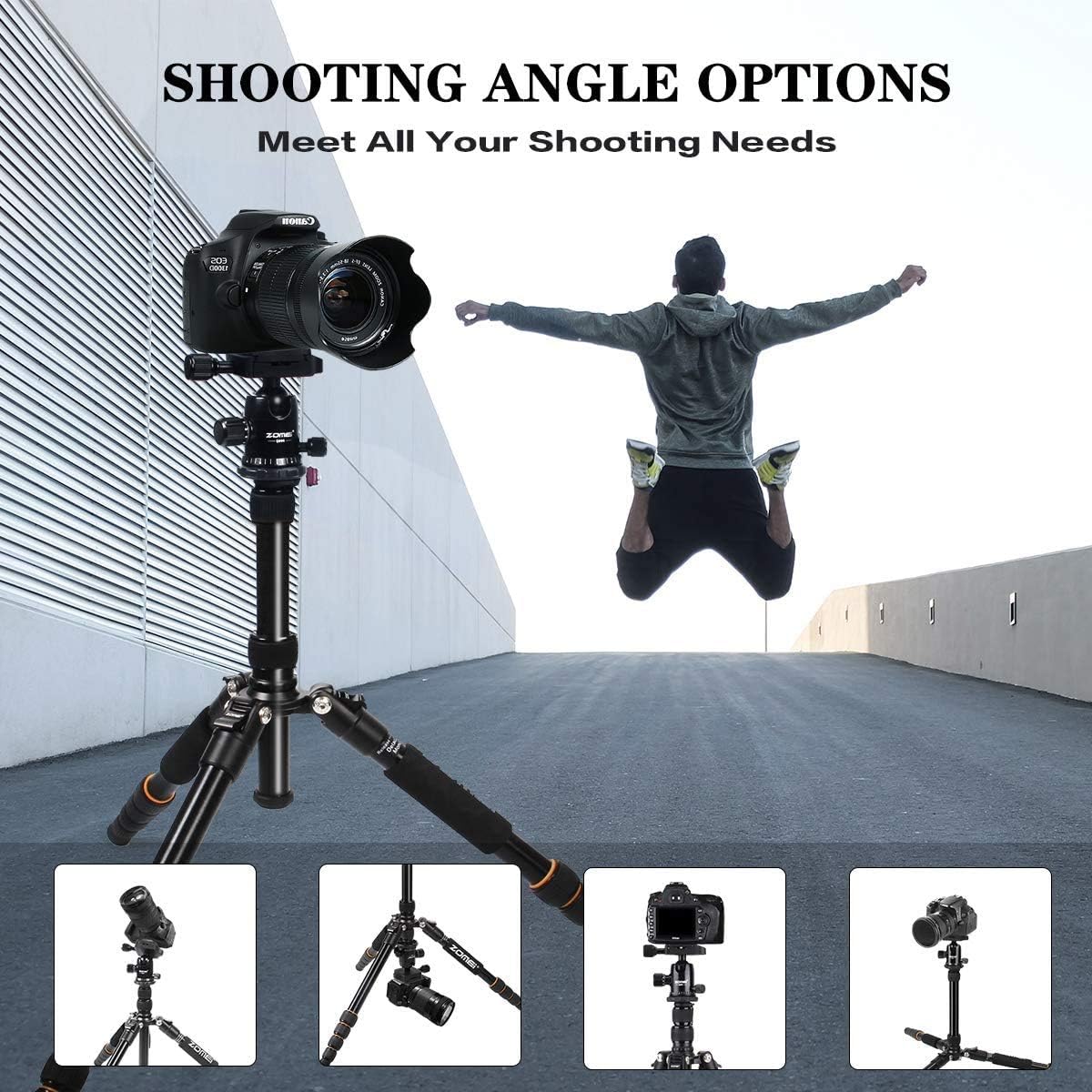 Camera Tripod with Ball Head Quick Release Plate and Carrying Case T686648