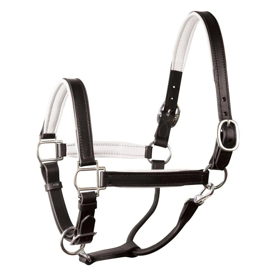 Soft Padded Leather Halter S132208