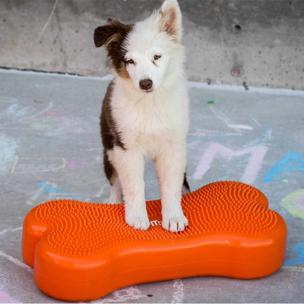 Agility Training X527
