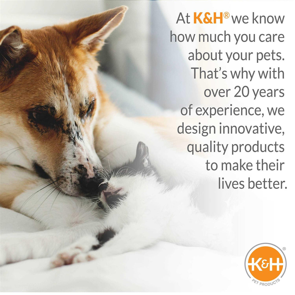 Pet Bed Warmer S558847