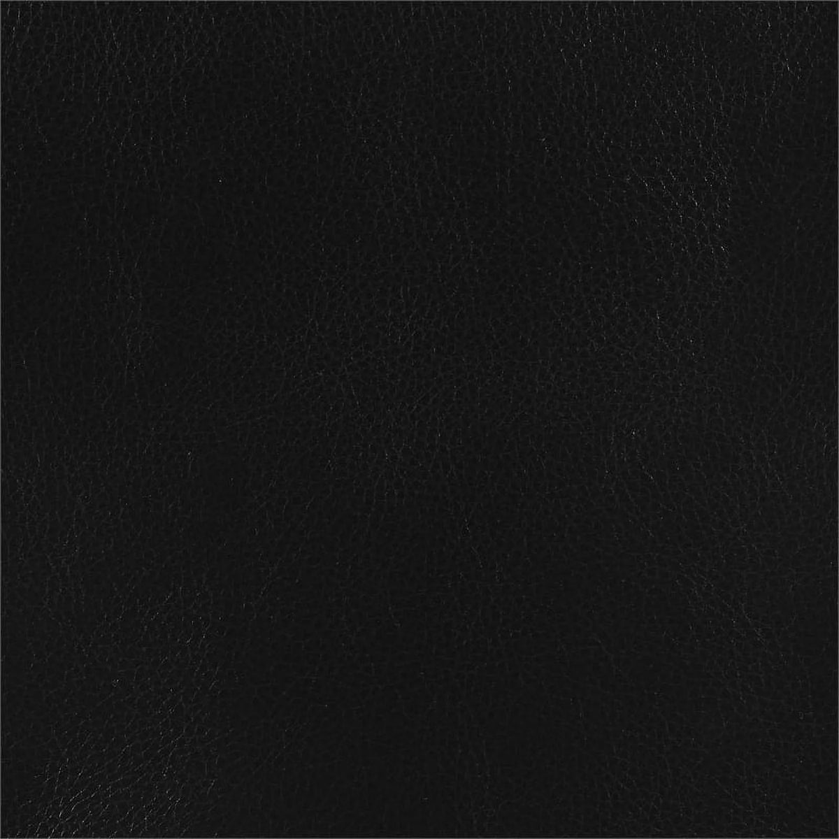 Modern Faux Leather Upholstered Turfed Chair in Black L465008
