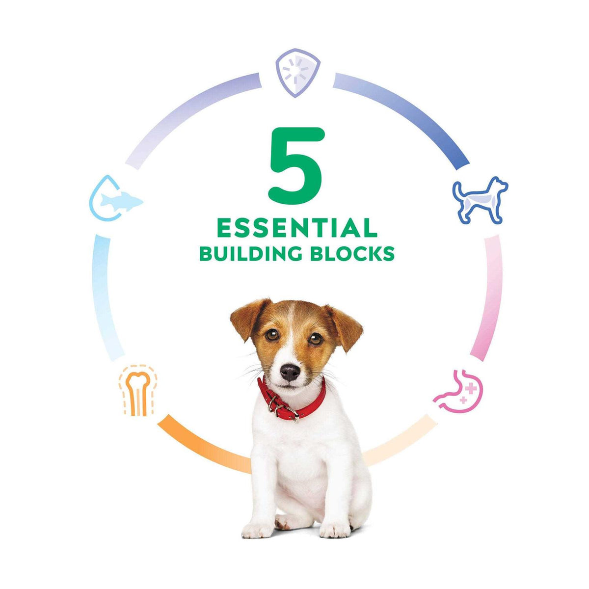 Puppy Small Bites Chicken Recipe Dry Dog Food E881859