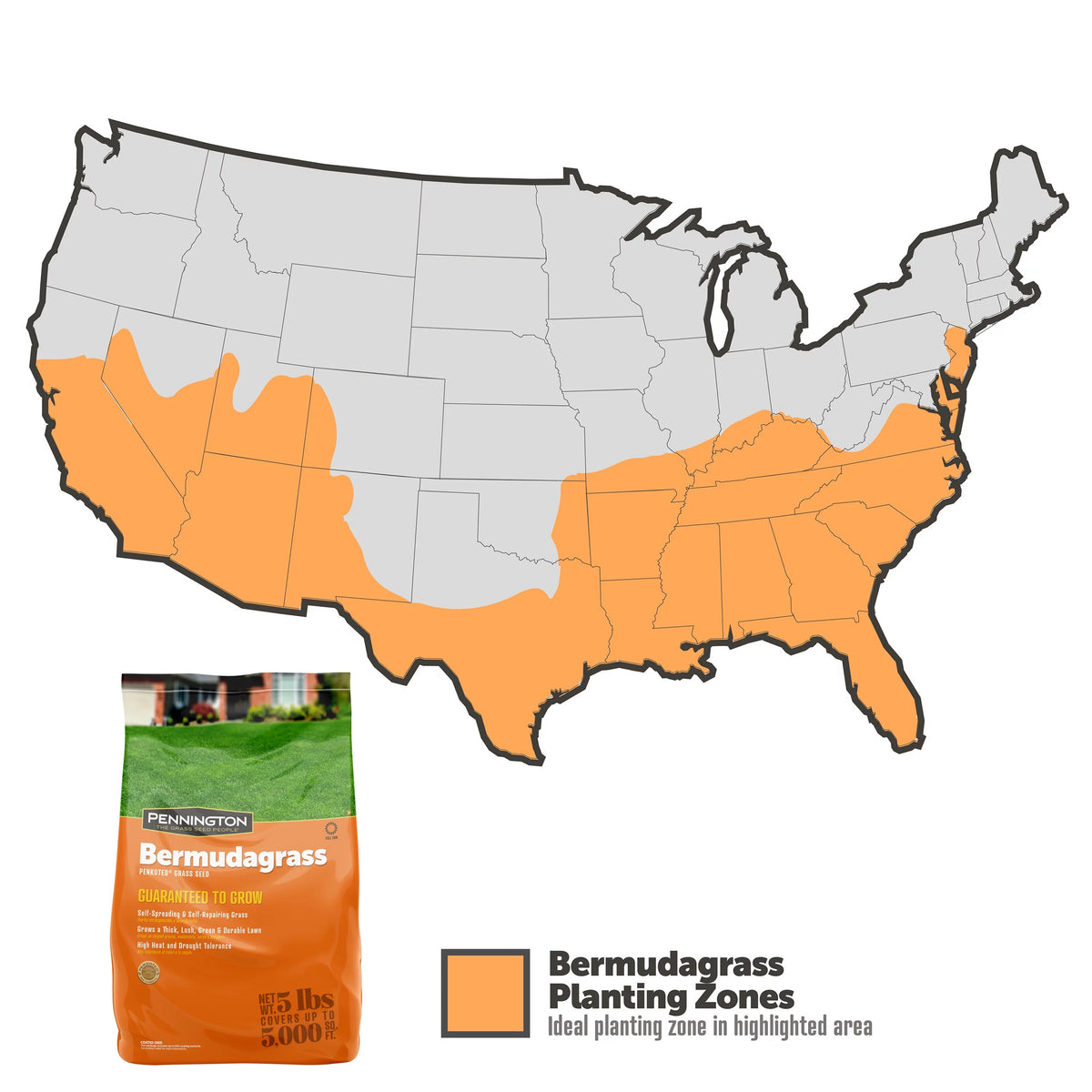 Sahara Bermudagrass Grass Seed, 5 lb. D948