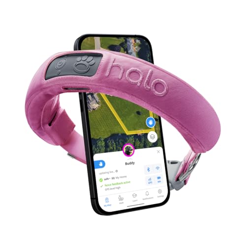 Graphite Waterproof GPS Dog Collar M56843