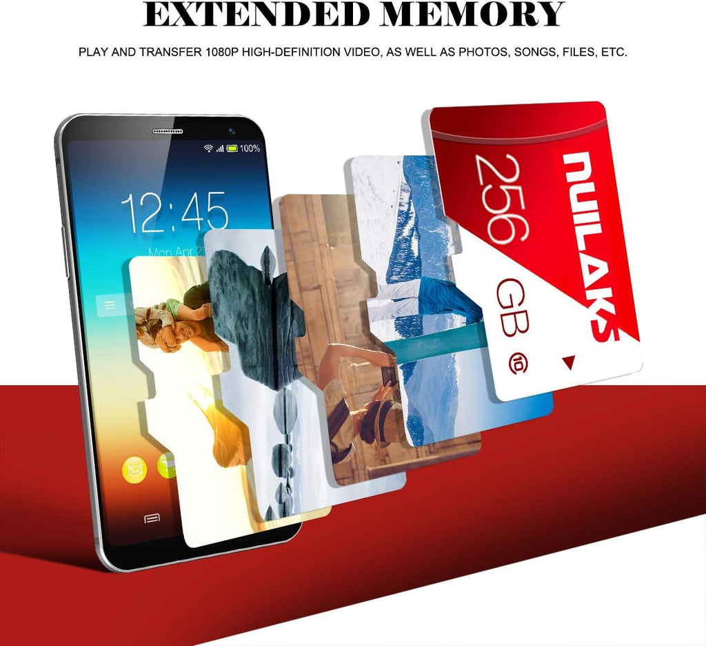 256GB Class 10 Micro SD Card with Adapter Pack of 2 X3162