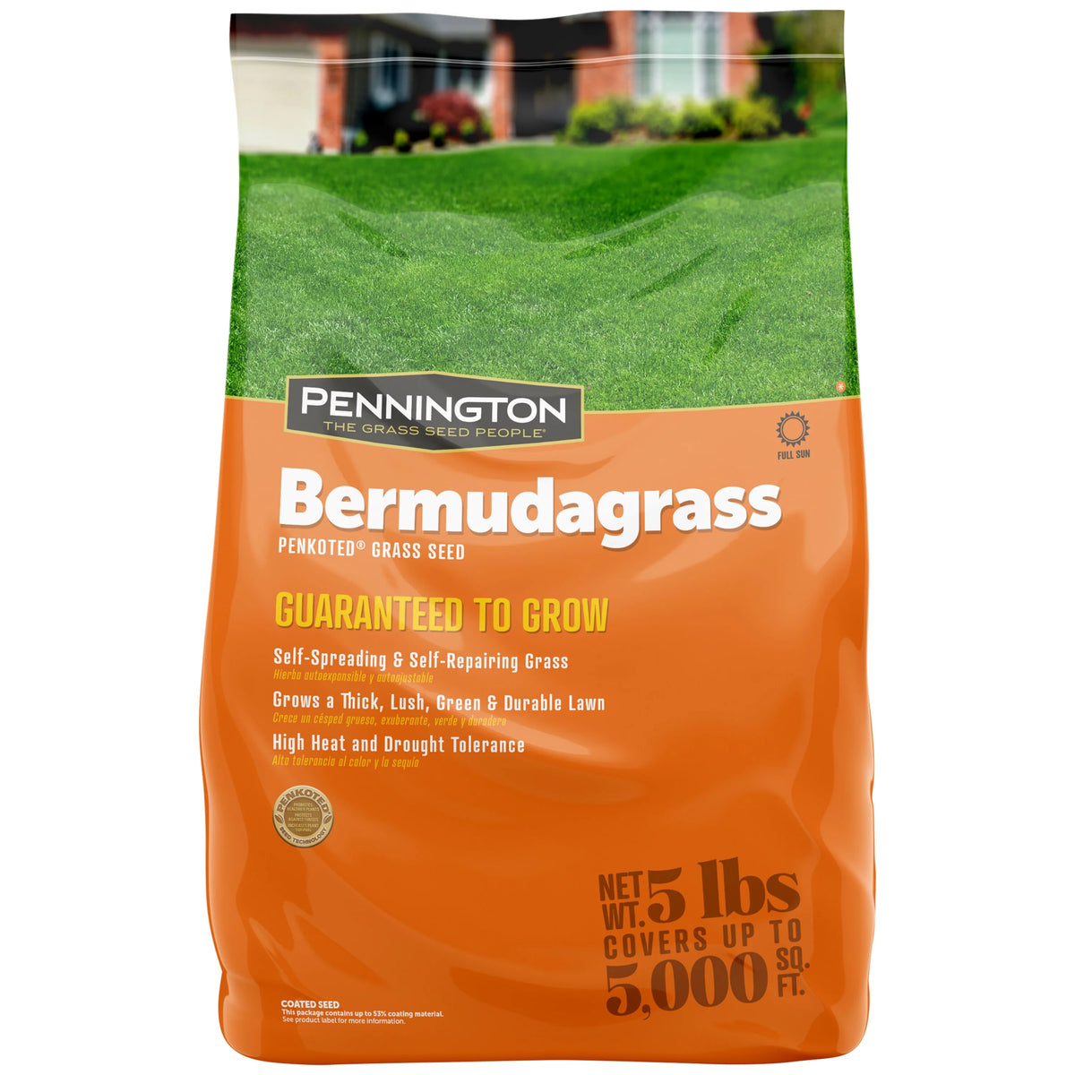Sahara Bermudagrass Grass Seed, 5 lb. D948