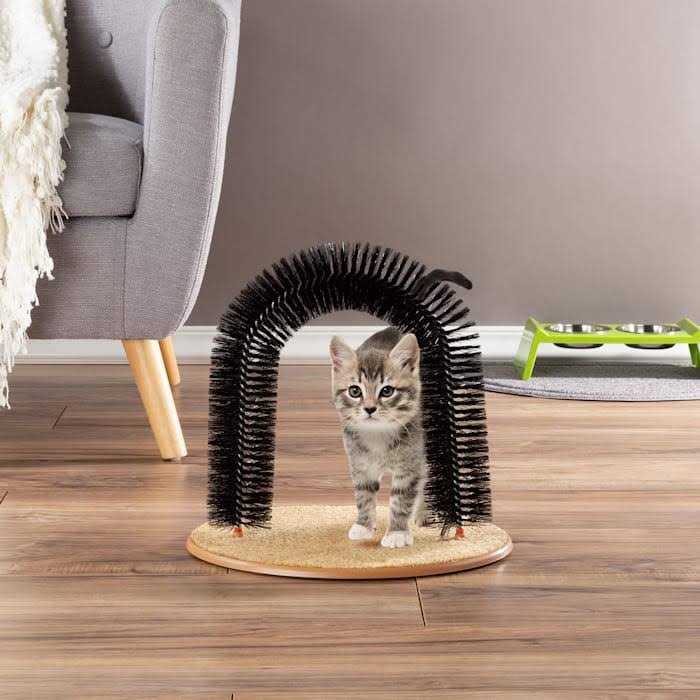 Self Grooming Cat Arch W766911