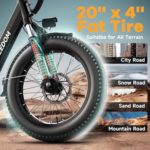 Electric Bike with 1500W Motor, 48V 20Ah Battery, 20" Fat Tire, 7-Speed T440175