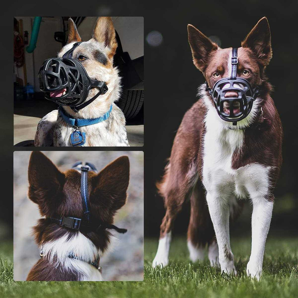 Dog Muzzle W692638
