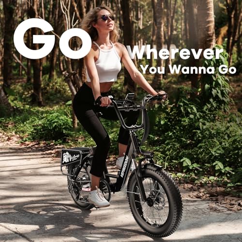 Electric Bike with 1500W Motor, 48V 20Ah Battery, 20" Fat Tire, 7-Speed T440175
