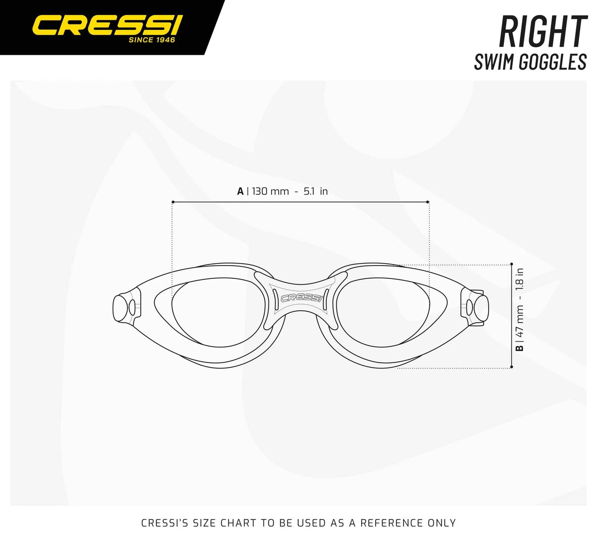 Clear Lenses Swim Goggles I183