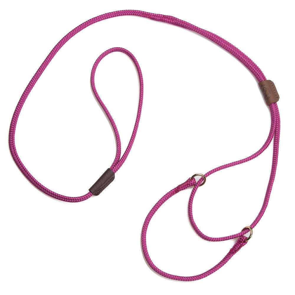 Martingale Show Lead F49777