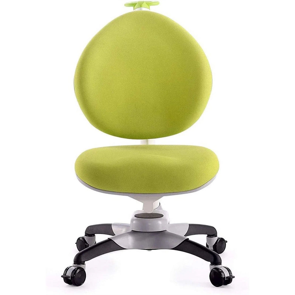 Green Height Adjustable Children's Chair with Study Desk P4053