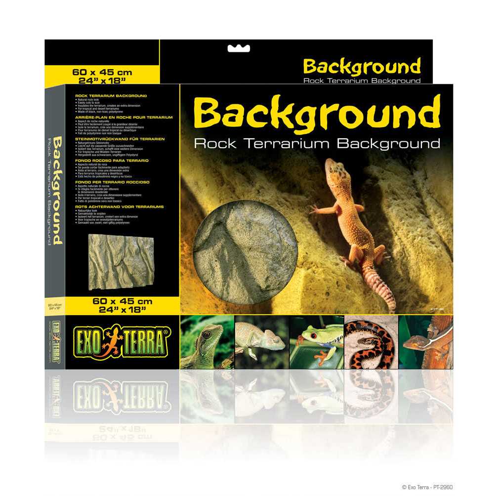 Rock Terrarium Background J712321