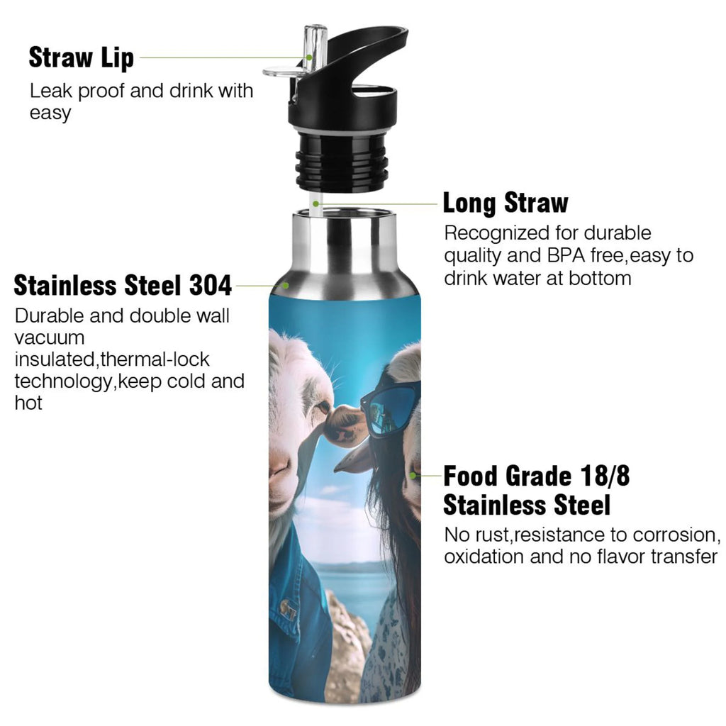 20 oz Insulated Stainless Steel Water Bottle with Straw Lid F47032