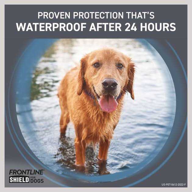 Flea & Tick Treatment for Dogs H13542