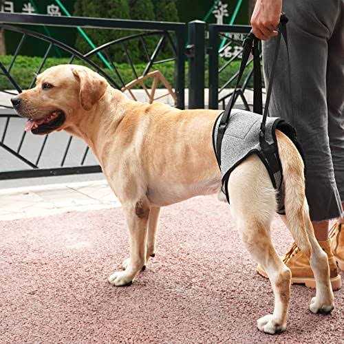 Dog Sling for Large Dogs Hind Leg Support E88701