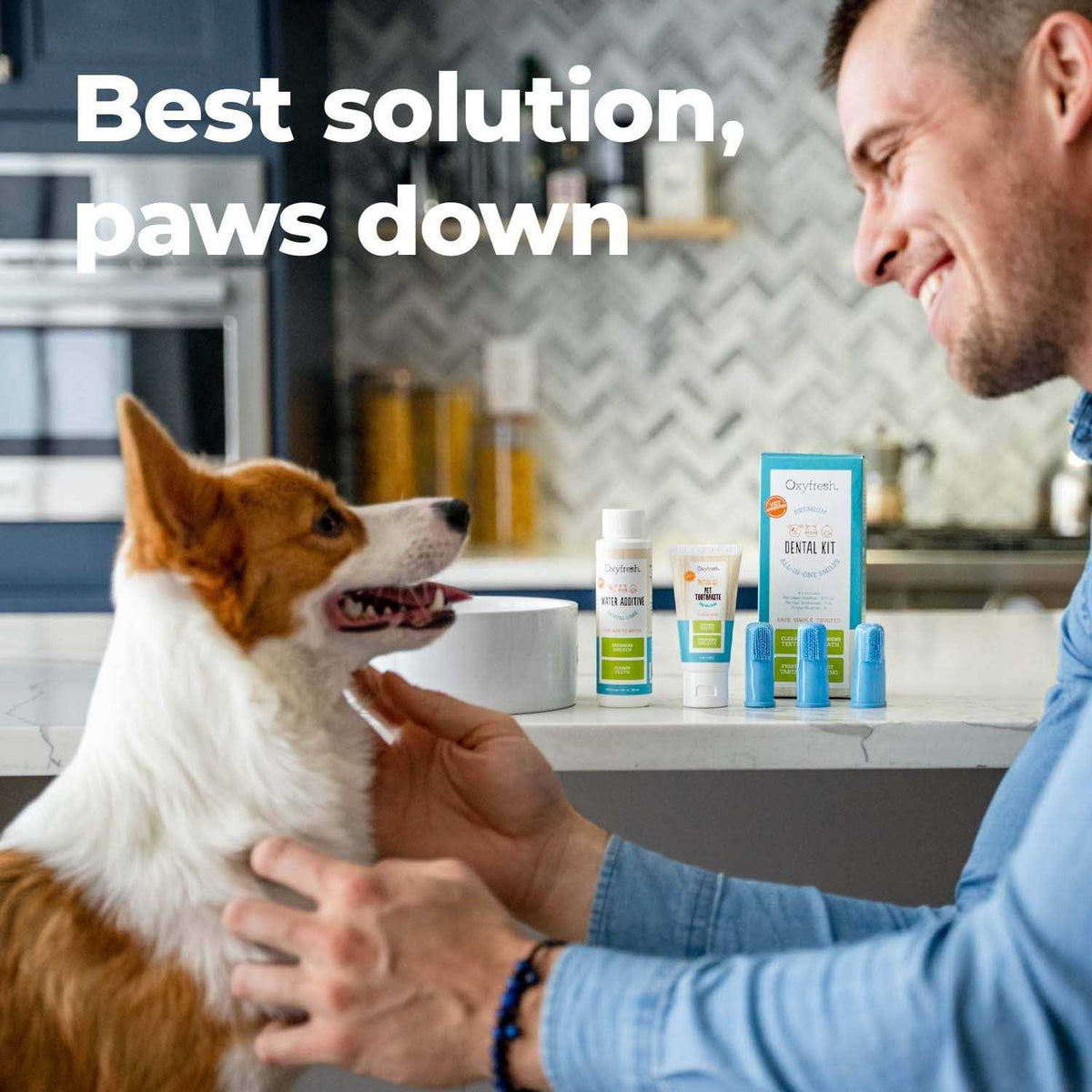 Pet Dental Kit W443744