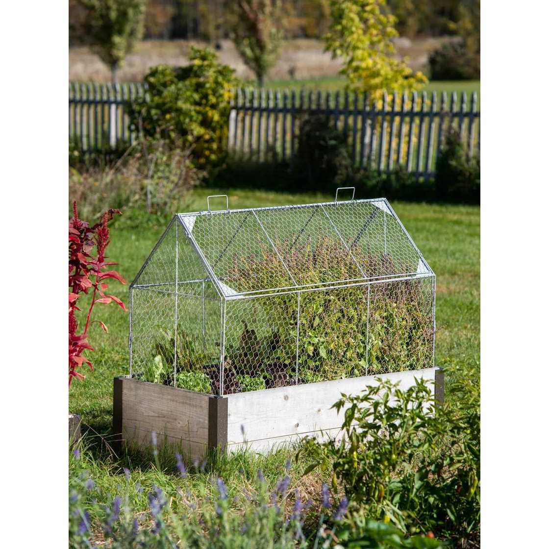 Chicken Wire Crop Coop N516080