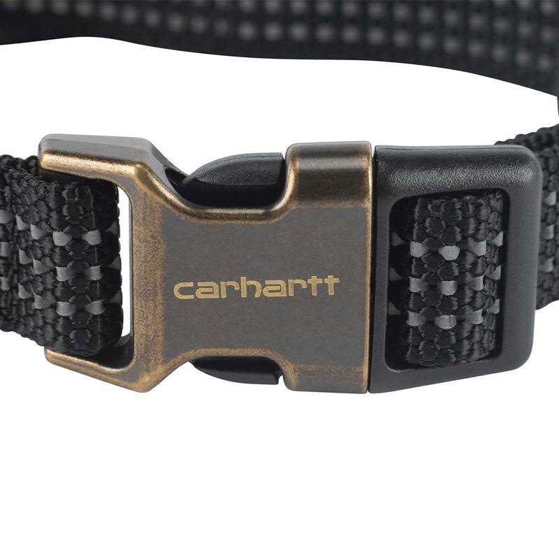 Dog Collar I592