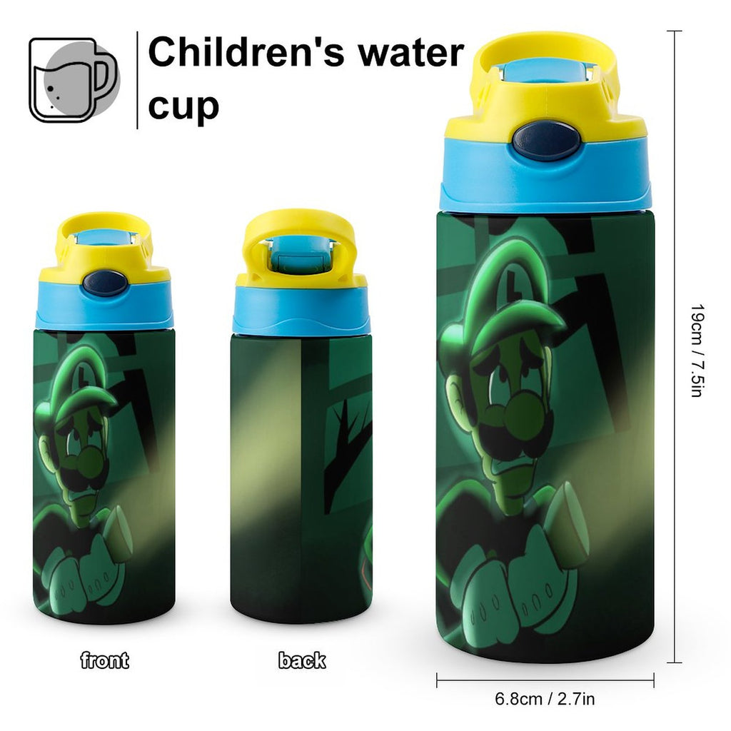 Insulated Stainless Steel Water Bottle with Straw N336