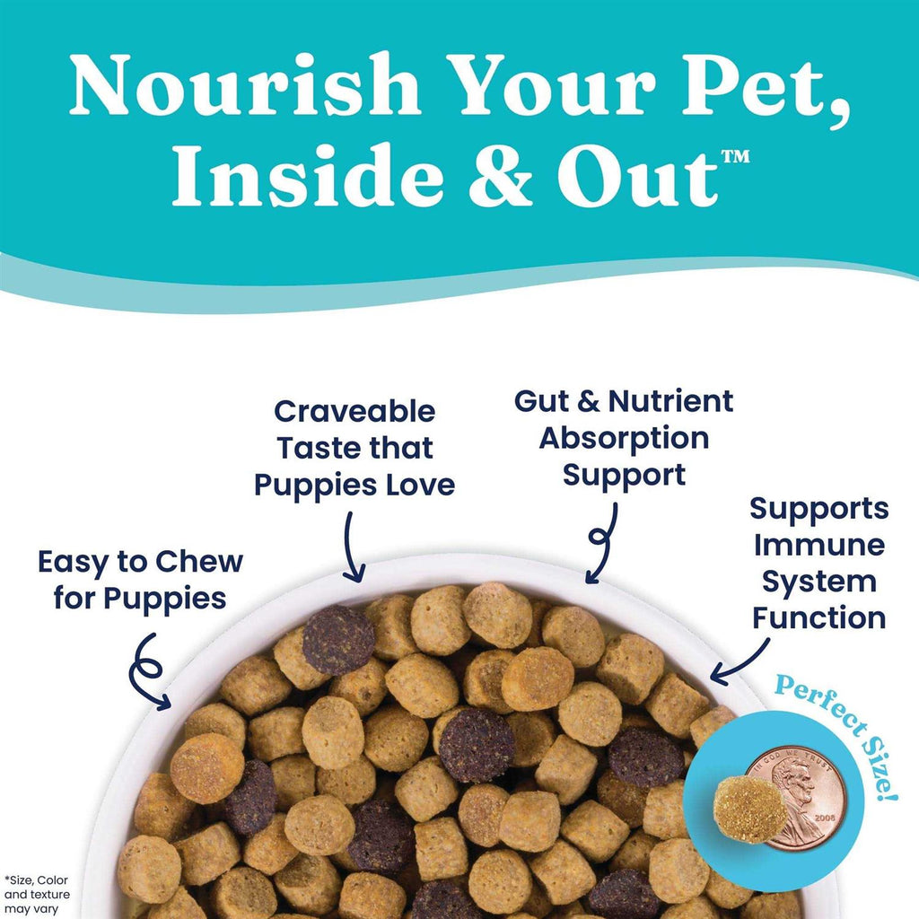 Dry Dog Food U31358