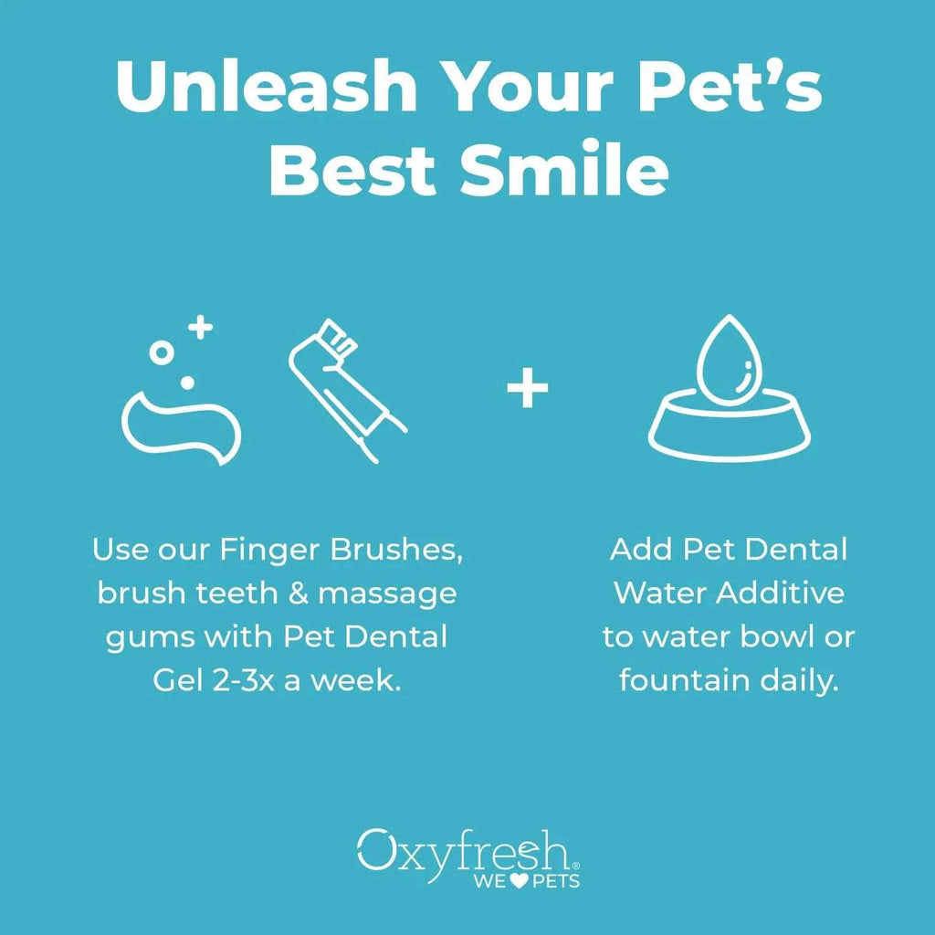 Pet Dental Kit W443744