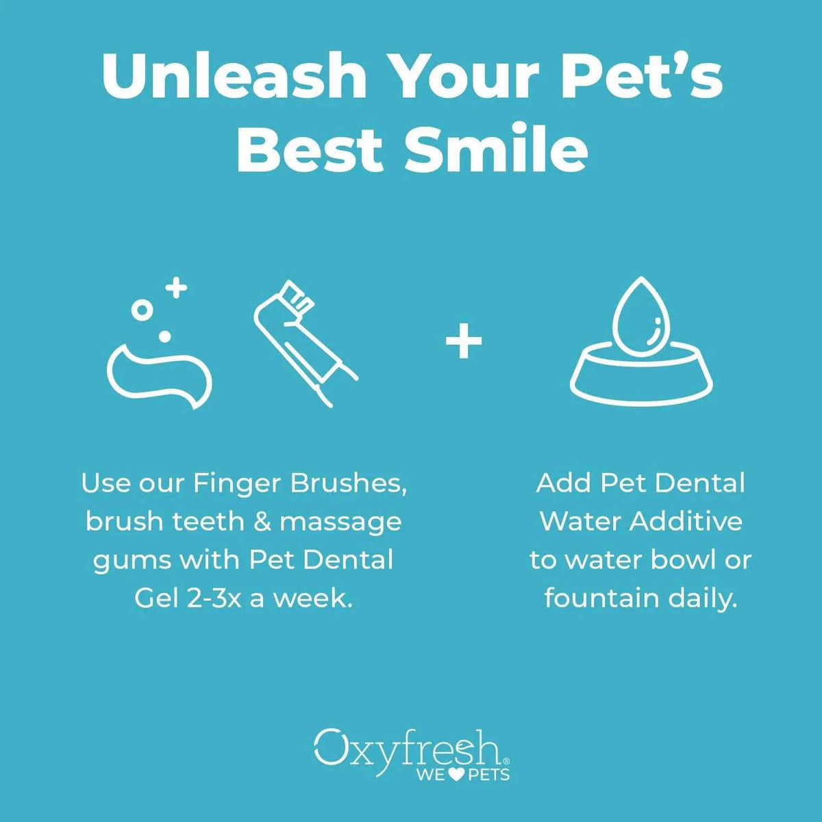 Pet Dental Kit W443744