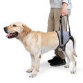 Dog Sling for Large Dogs Hind Leg Support E88701
