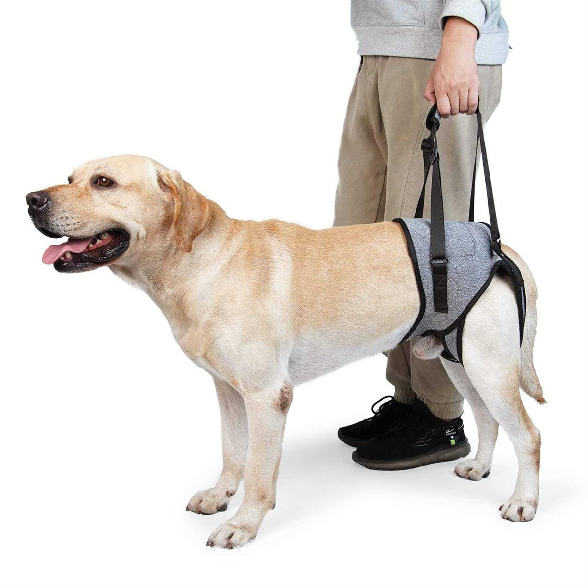 Dog Sling for Large Dogs Hind Leg Support E88701