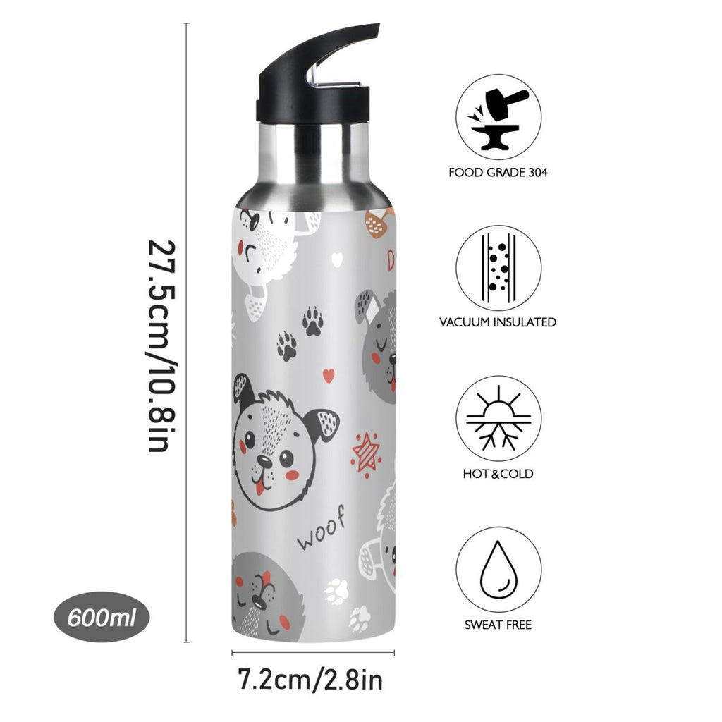 Insulated Stainless Steel Water Bottle with Straw Lid 20 oz O2116