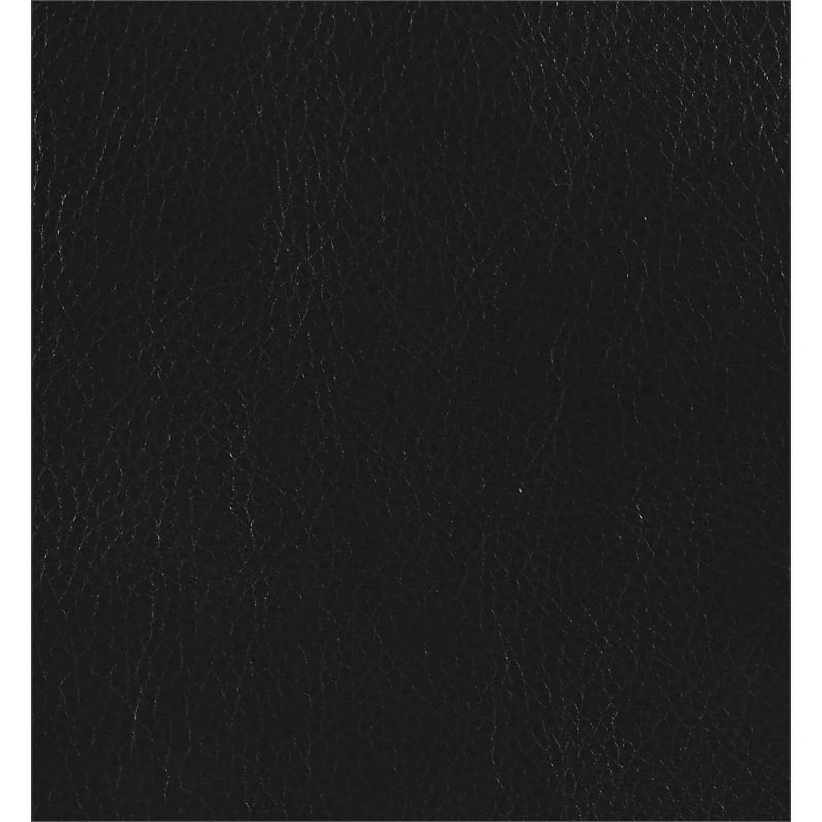 Modern Faux Leather Upholstered Turfed Chair in Black L465008