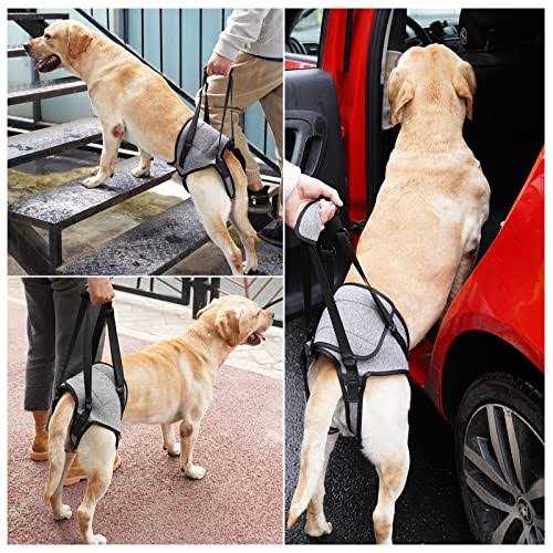 Dog Sling for Large Dogs Hind Leg Support E88701