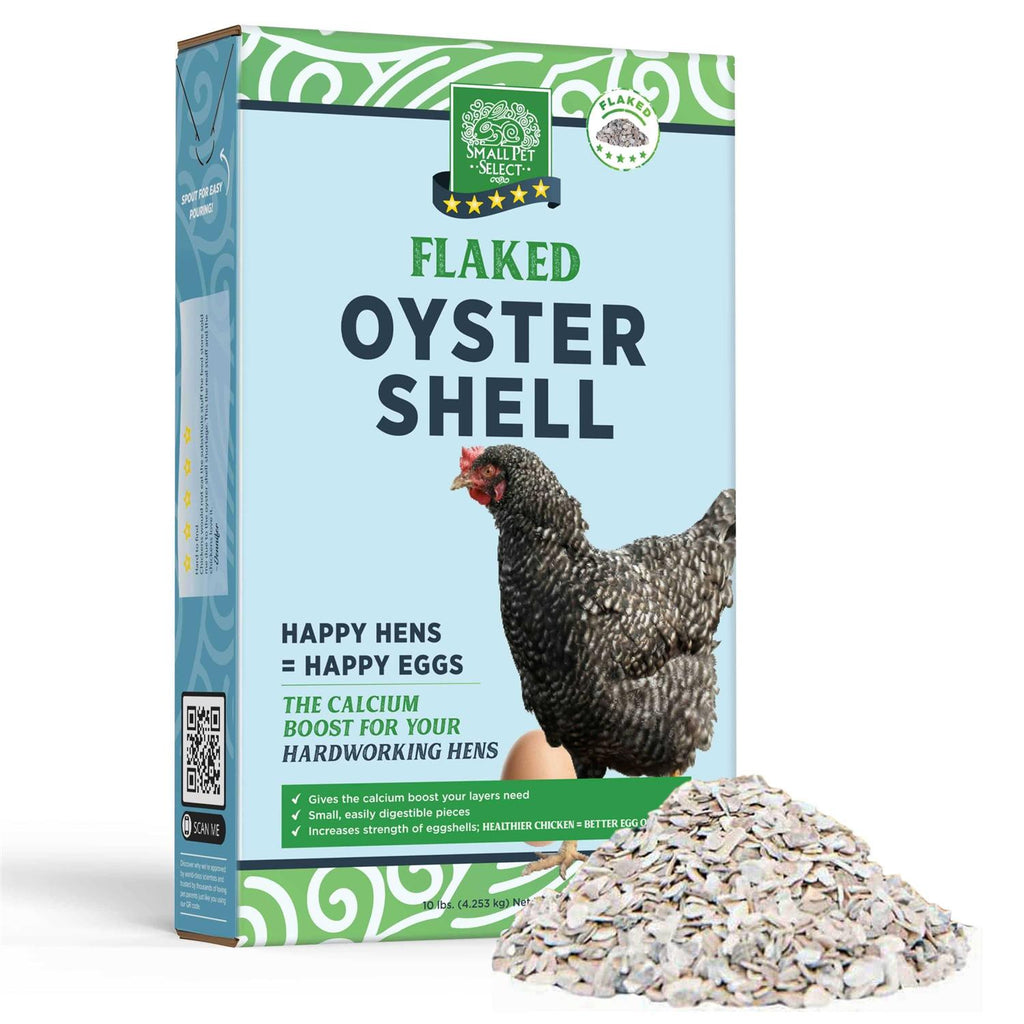 Flaked Oyster and Seashell W329482