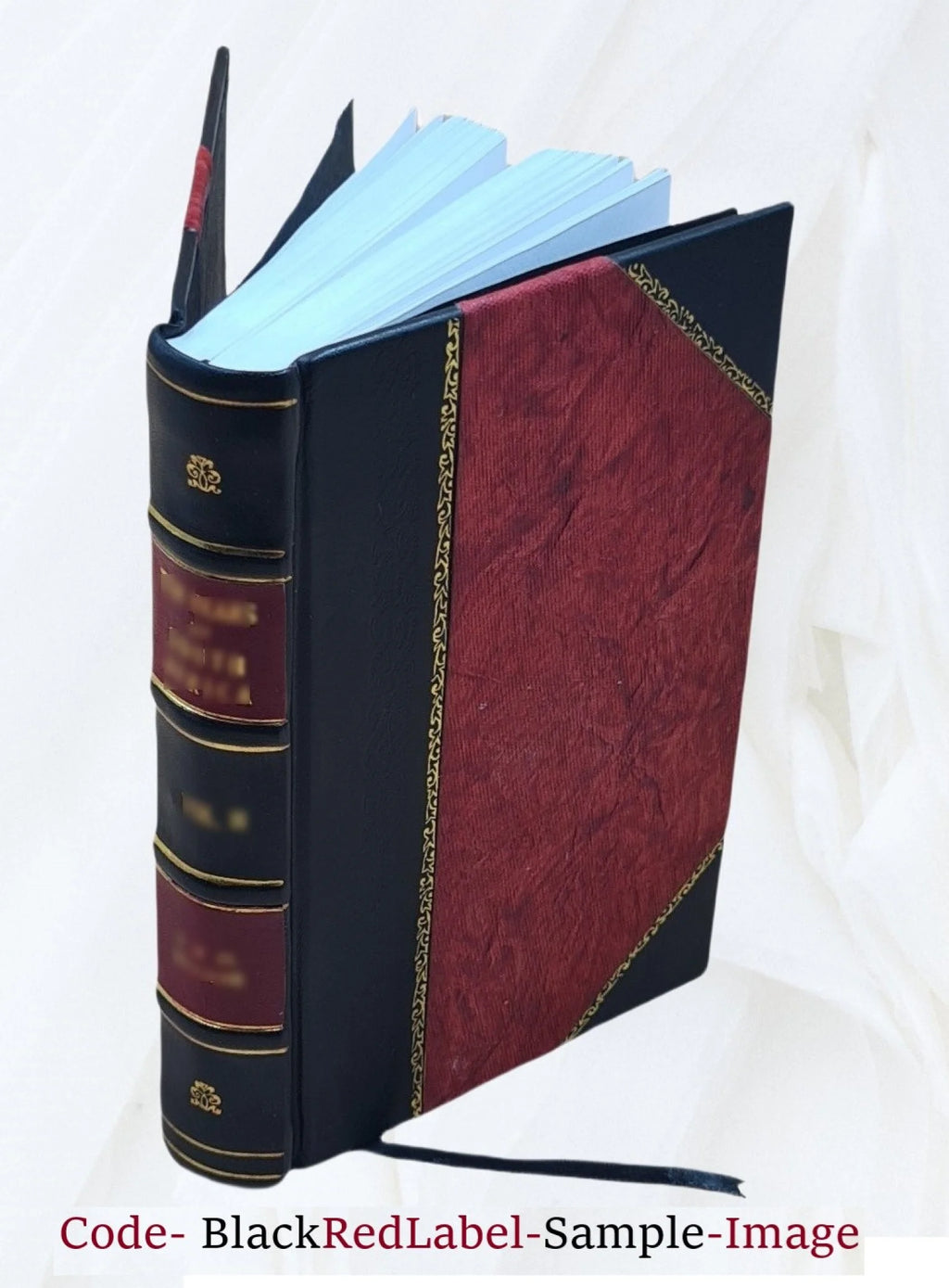Leather Bound Book T870097