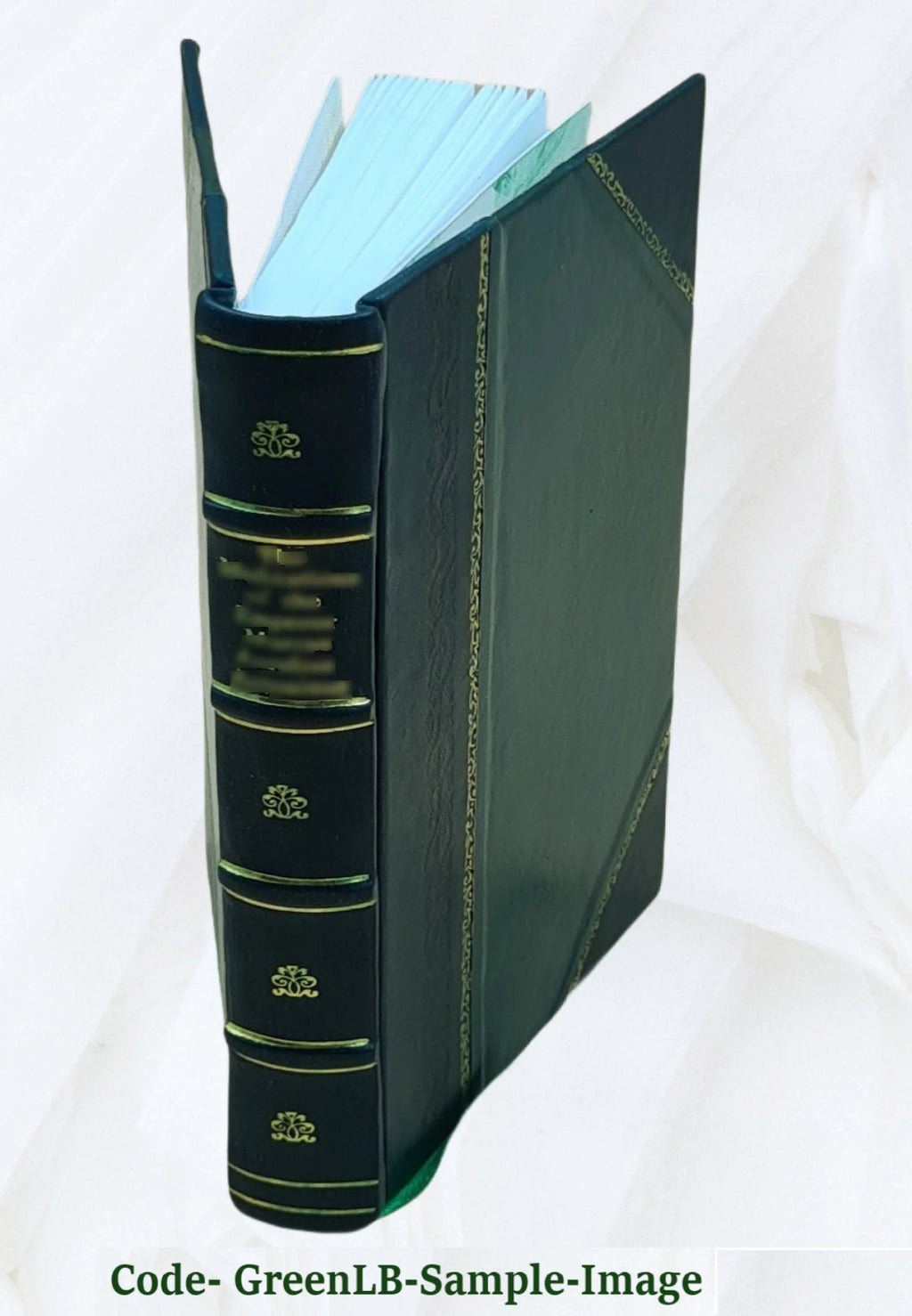 History of the Armistice Class of Lake Erie Consistory Leather Bound A73277