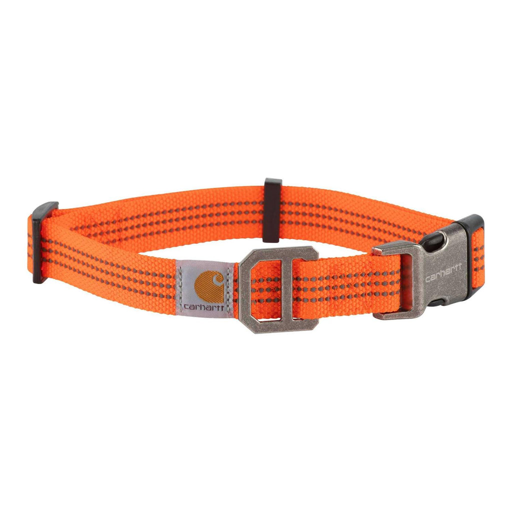 Dog Collar I592