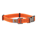 Dog Collar I592